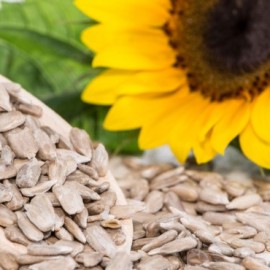 Our Products | Sunflower Seeds