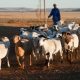 Pakhouse-South-African-Farmer's-Register